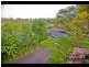Ashmore QLD 4214
