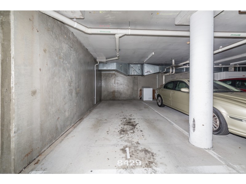 8429 Magnolia Drive East, Hope Island QLD 4212