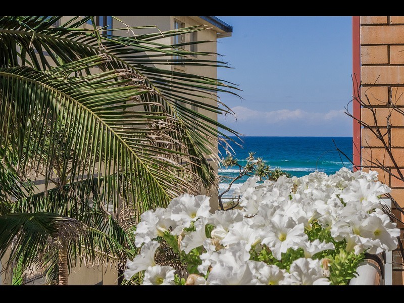 17/120 The Esplanade, Surfers Paradise QLD 4217