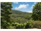 16 Willaimson Drive, Kuranda QLD 4881