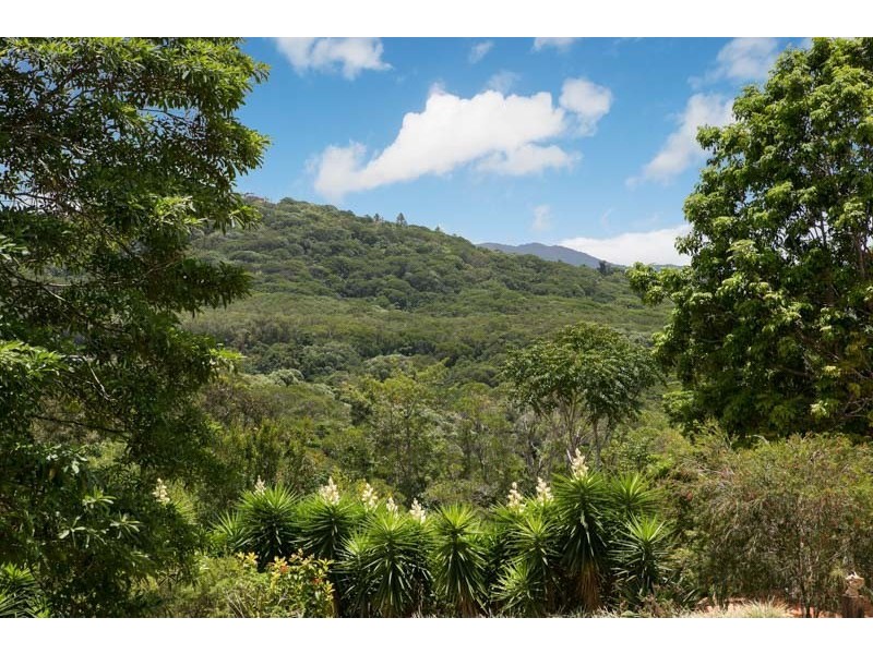 16 Willaimson Drive, Kuranda QLD 4881