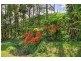 2 Fairyland Close, Kuranda QLD 4881