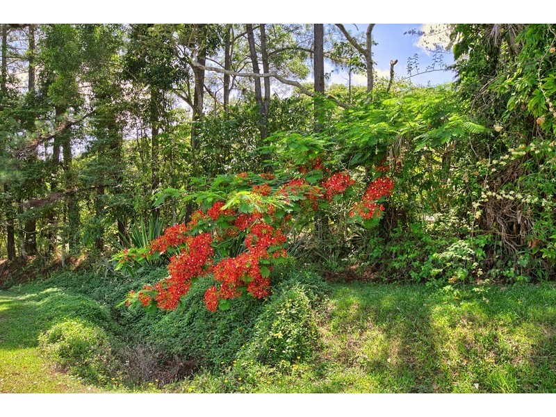 2 Fairyland Close, Kuranda QLD 4881