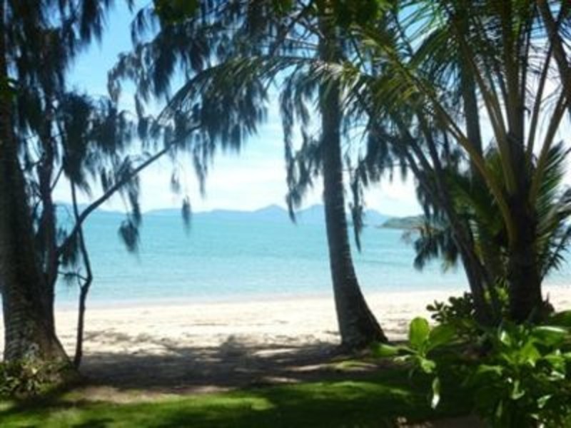 16/28 Oliva Street, Palm Cove QLD 4879