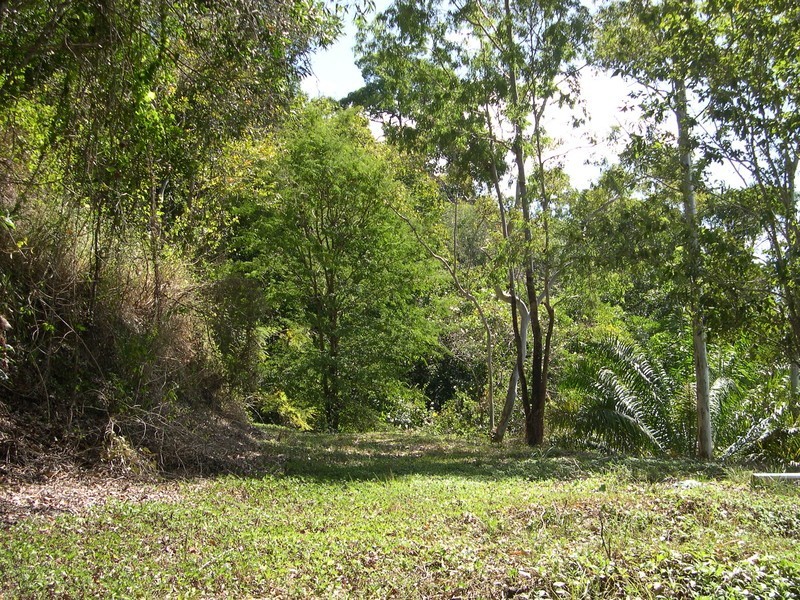 Lot 2/ 252 Banabilla Road, Bloomfield QLD 4895