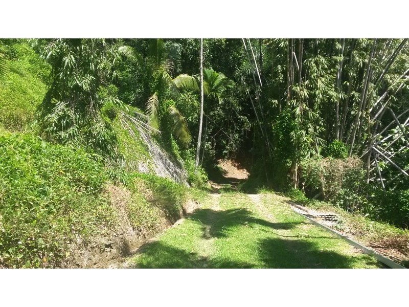 Lot 2/ 252 Banabilla Road, Bloomfield QLD 4895