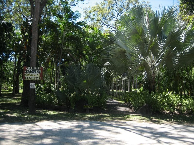 20 Bloomfield Road, Bloomfield QLD 4895