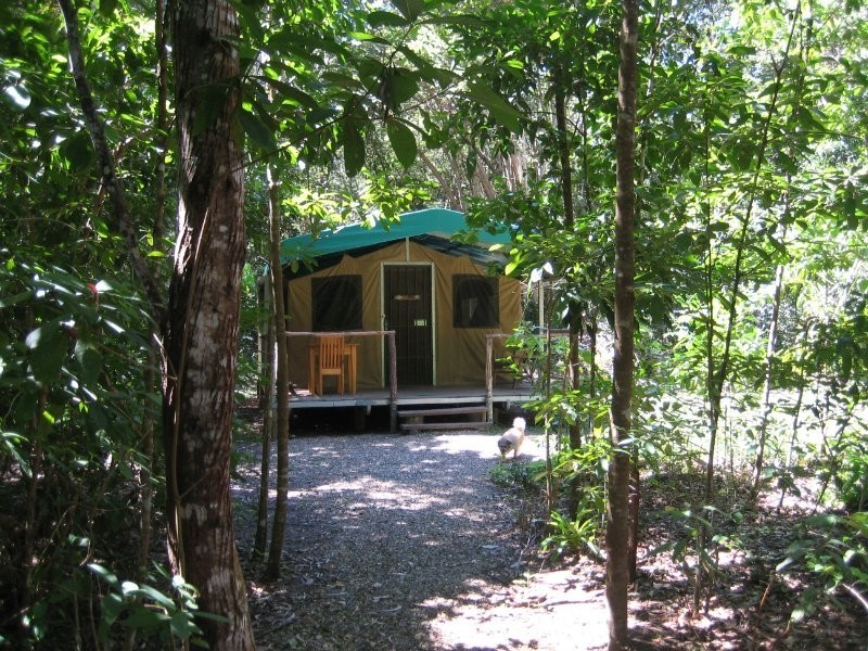 20 Bloomfield Road, Bloomfield QLD 4895
