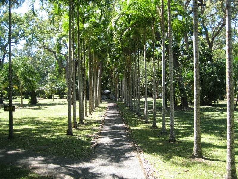 20 Bloomfield Road, Bloomfield QLD 4895