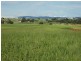 Peeramon QLD 4885