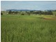 Peeramon QLD 4885