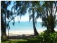 Palm Cove QLD 4879