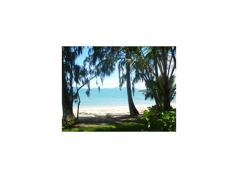 Palm Cove QLD 4879