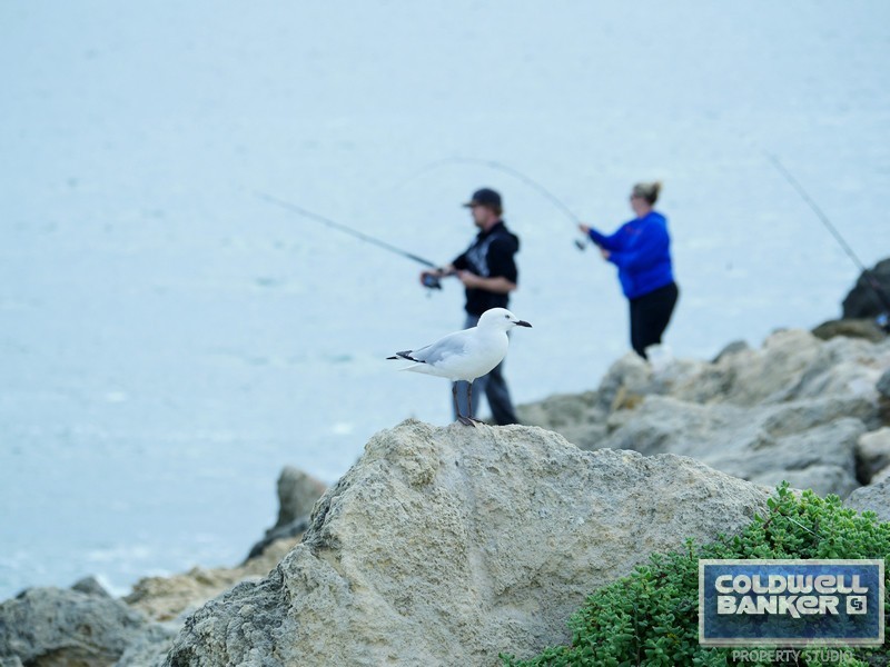 16 Southampton Lane, Mindarie WA 6030