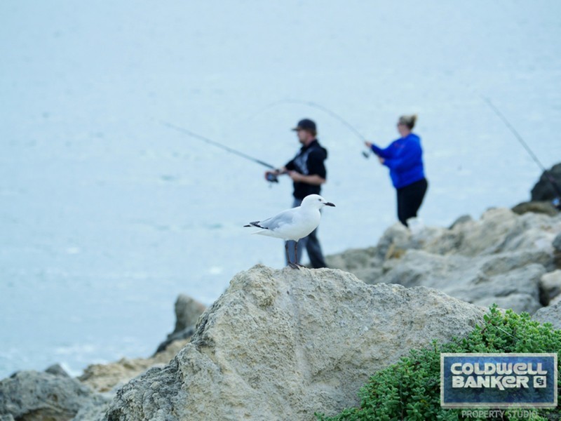 16 Southampton Lane, Mindarie WA 6030