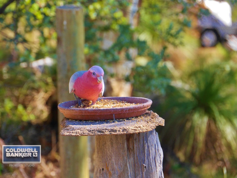 25 Girrawheen Drive, Gooseberry Hill WA 6076