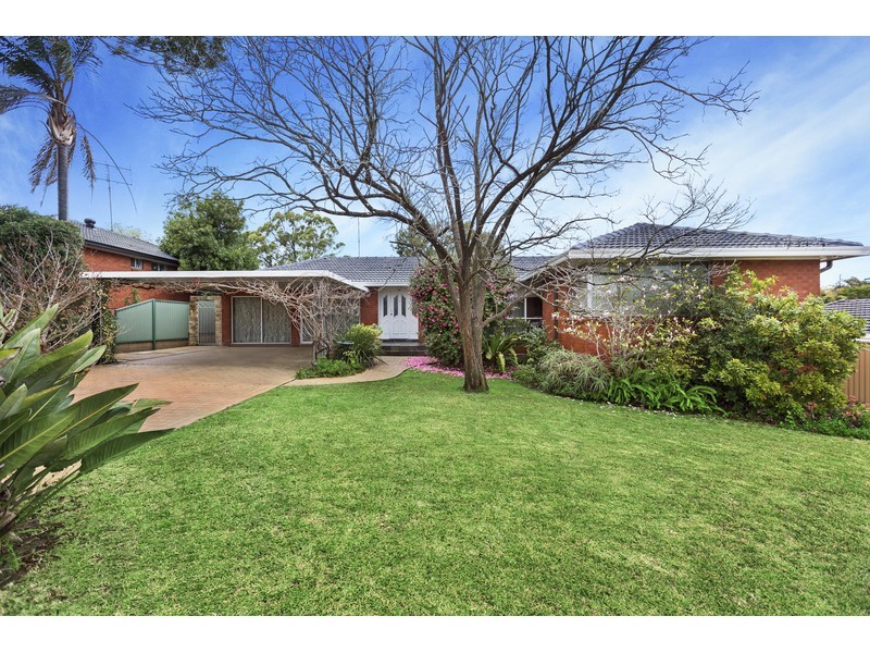 38 Pinetree Drive, Carlingford NSW 2118