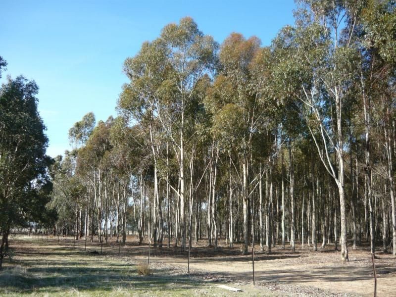 1412 Stewarton Road, Stewarton VIC 3725