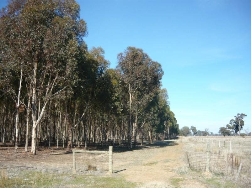 1412 Stewarton Road, Stewarton VIC 3725