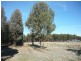 1412 Stewarton Road, Stewarton VIC 3725