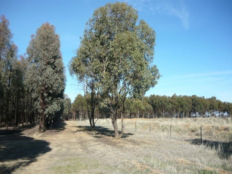 1412 Stewarton Road, Stewarton VIC 3725