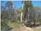115 Mt Bruno Road, Mount Bruno VIC 3675