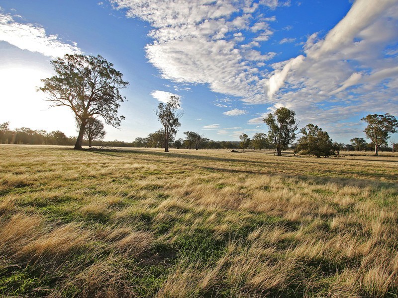 Lot 1, 62 Swanpool Warrenbayne Road, Benalla VIC 3672