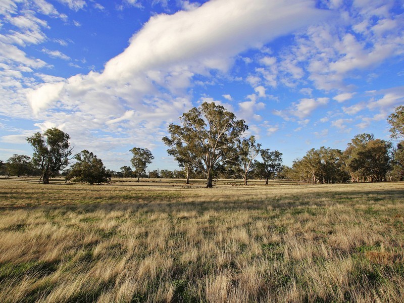 Lot 1, 62 Swanpool Warrenbayne Road, Benalla VIC 3672