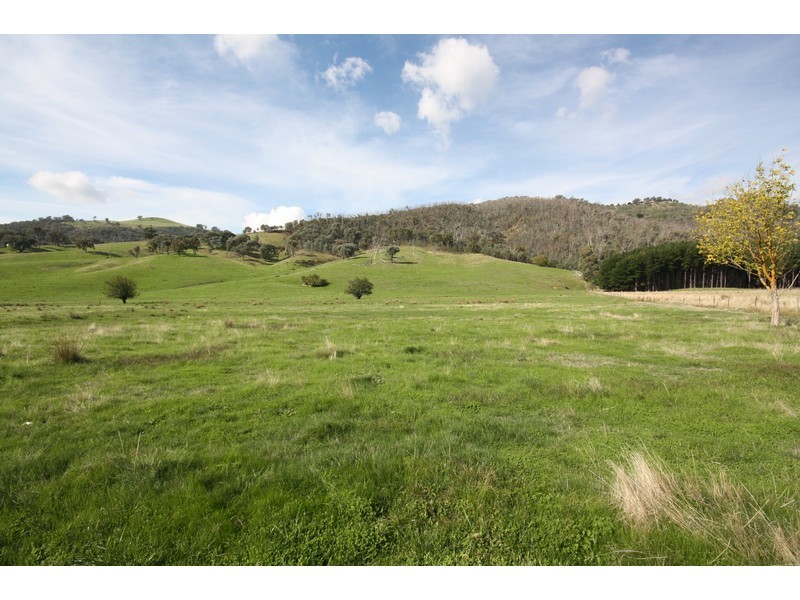 1337 Benalla Whitfield Road, Myrrhee VIC 3732