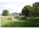1337 Benalla Whitfield Road, Myrrhee VIC 3732