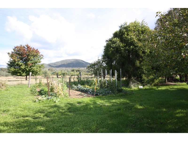 1337 Benalla Whitfield Road, Myrrhee VIC 3732