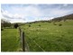 1337 Benalla Whitfield Road, Myrrhee VIC 3732