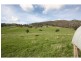1337 Benalla Whitfield Road, Myrrhee VIC 3732