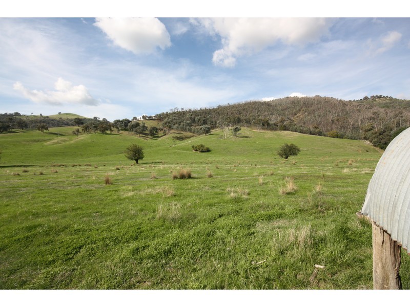 1337 Benalla Whitfield Road, Myrrhee VIC 3732