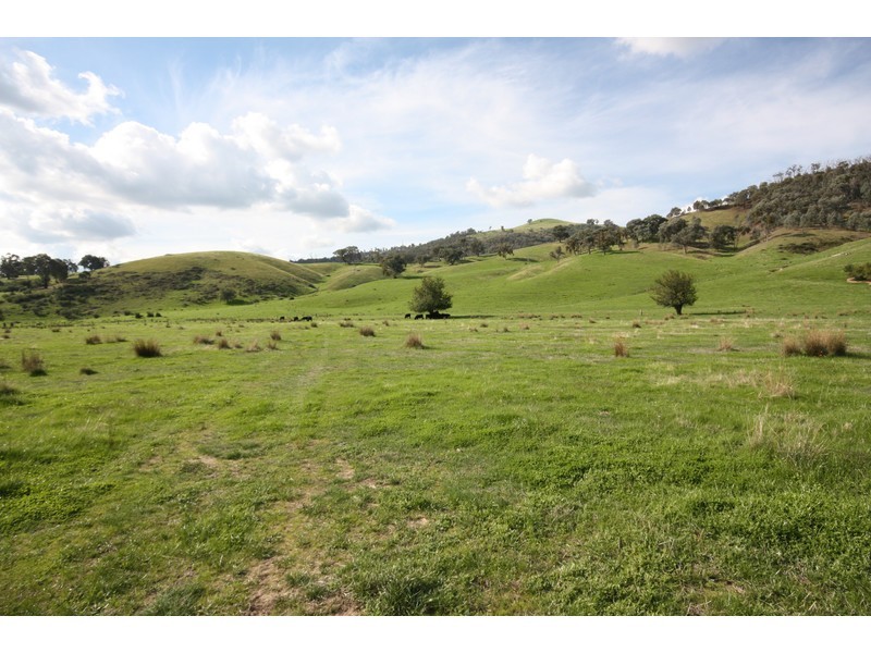 1337 Benalla Whitfield Road, Myrrhee VIC 3732