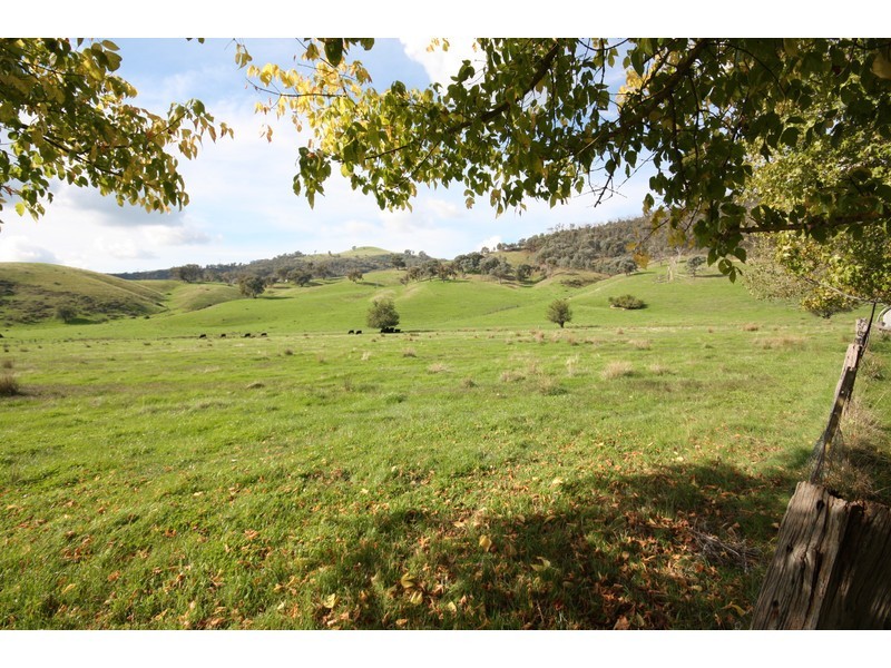 1337 Benalla Whitfield Road, Myrrhee VIC 3732