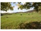 1337 Benalla Whitfield Road, Myrrhee VIC 3732