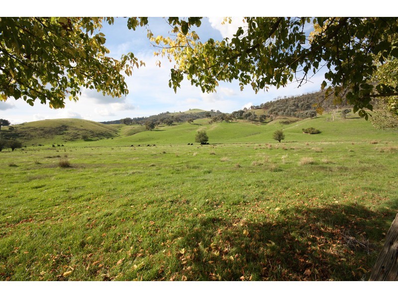 1337 Benalla Whitfield Road, Myrrhee VIC 3732