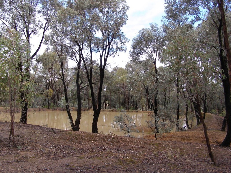 1/ Asbury Road, Lurg VIC 3673