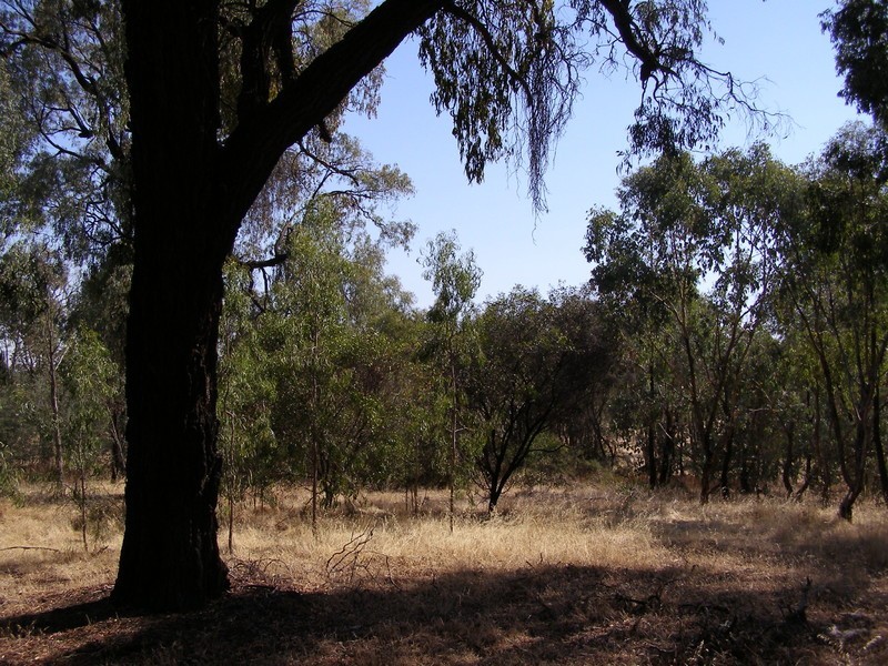 1/ Asbury Road, Lurg VIC 3673