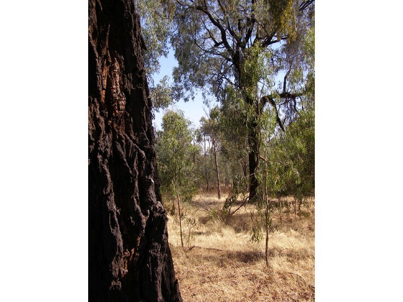 1/ Asbury Road, Lurg VIC 3673