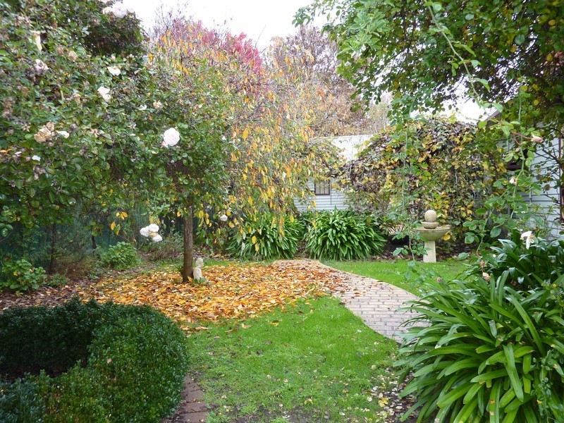 14 Crammond Street, Benalla VIC 3672