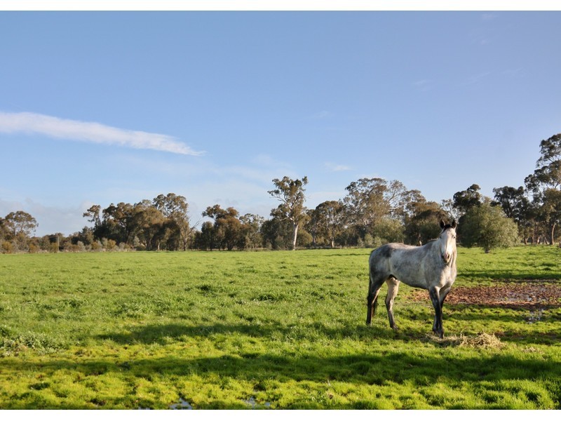 1/ Midland Highway, Benalla VIC 3672