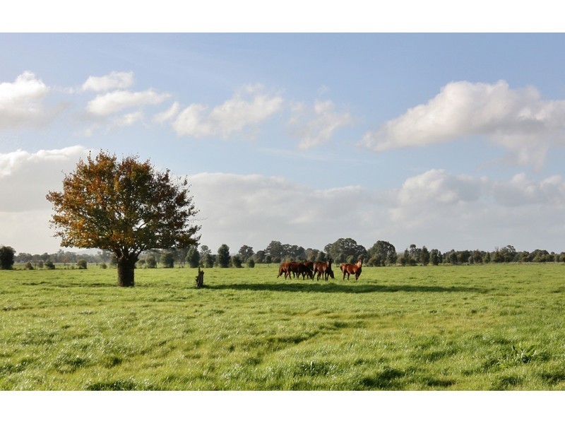 1/ Midland Highway, Benalla VIC 3672