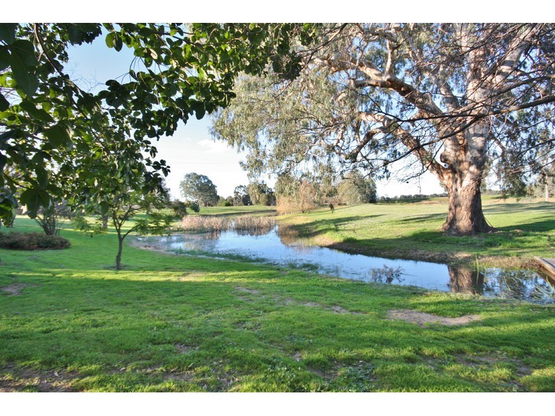 55 Willis Little Drive, Benalla VIC 3672