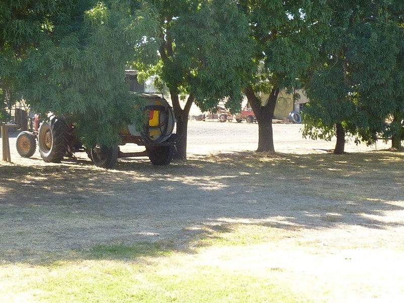 51 North Road, Benalla VIC 3672