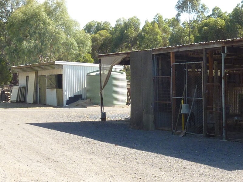 51 North Road, Benalla VIC 3672