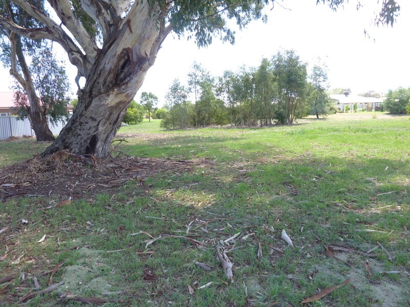 25 Rivergum Ave, Benalla VIC 3672