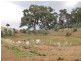 92 Steep Lane, Glenrowan West VIC 3675