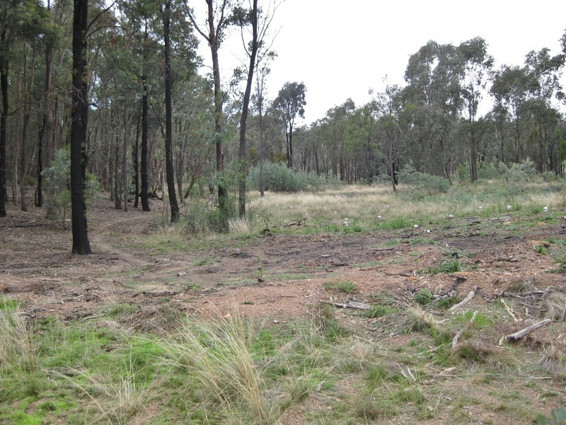 92 Steep Lane, Glenrowan West VIC 3675